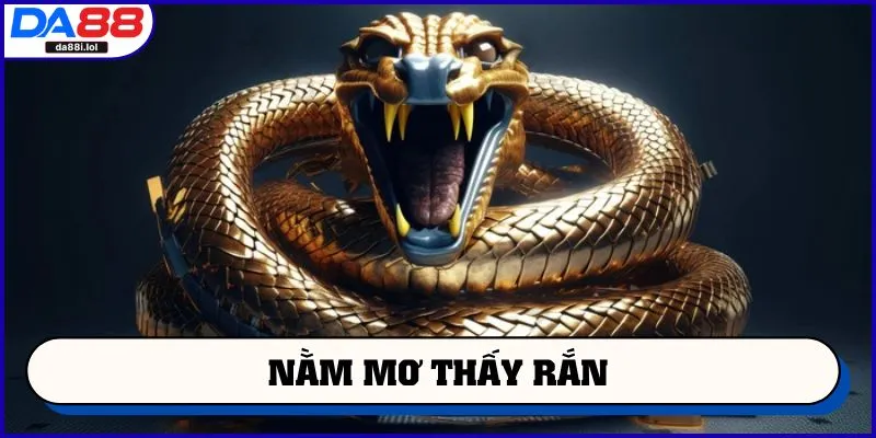 Nằm mơ thấy rắn