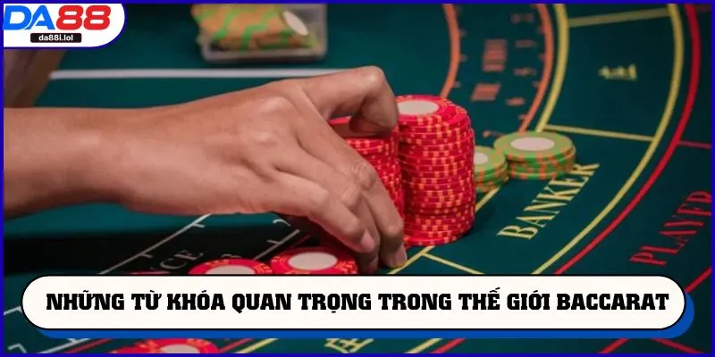 Những từ khóa quan trọng trong thế giới Baccarat